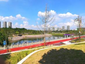 重慶白云湖公園人行道及園路